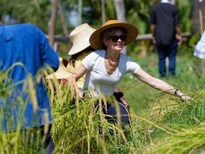 SS Rice News Convention 2025, Pattaya - Thailand